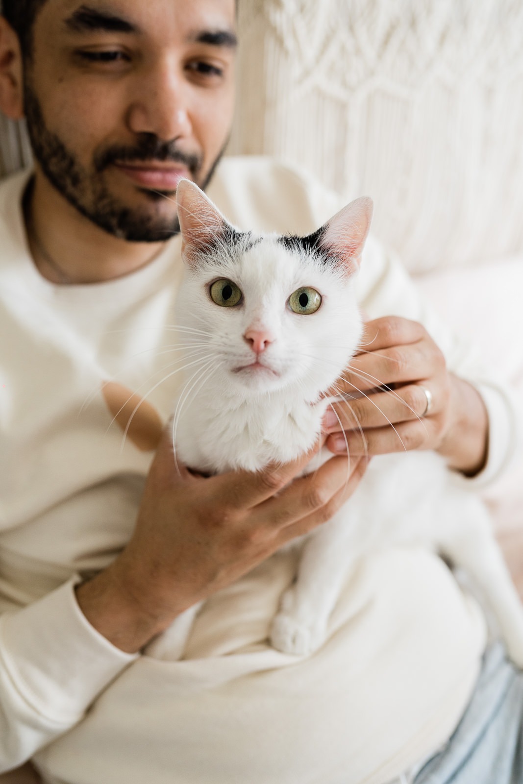 photos de bébé nouveau-né avec chat 