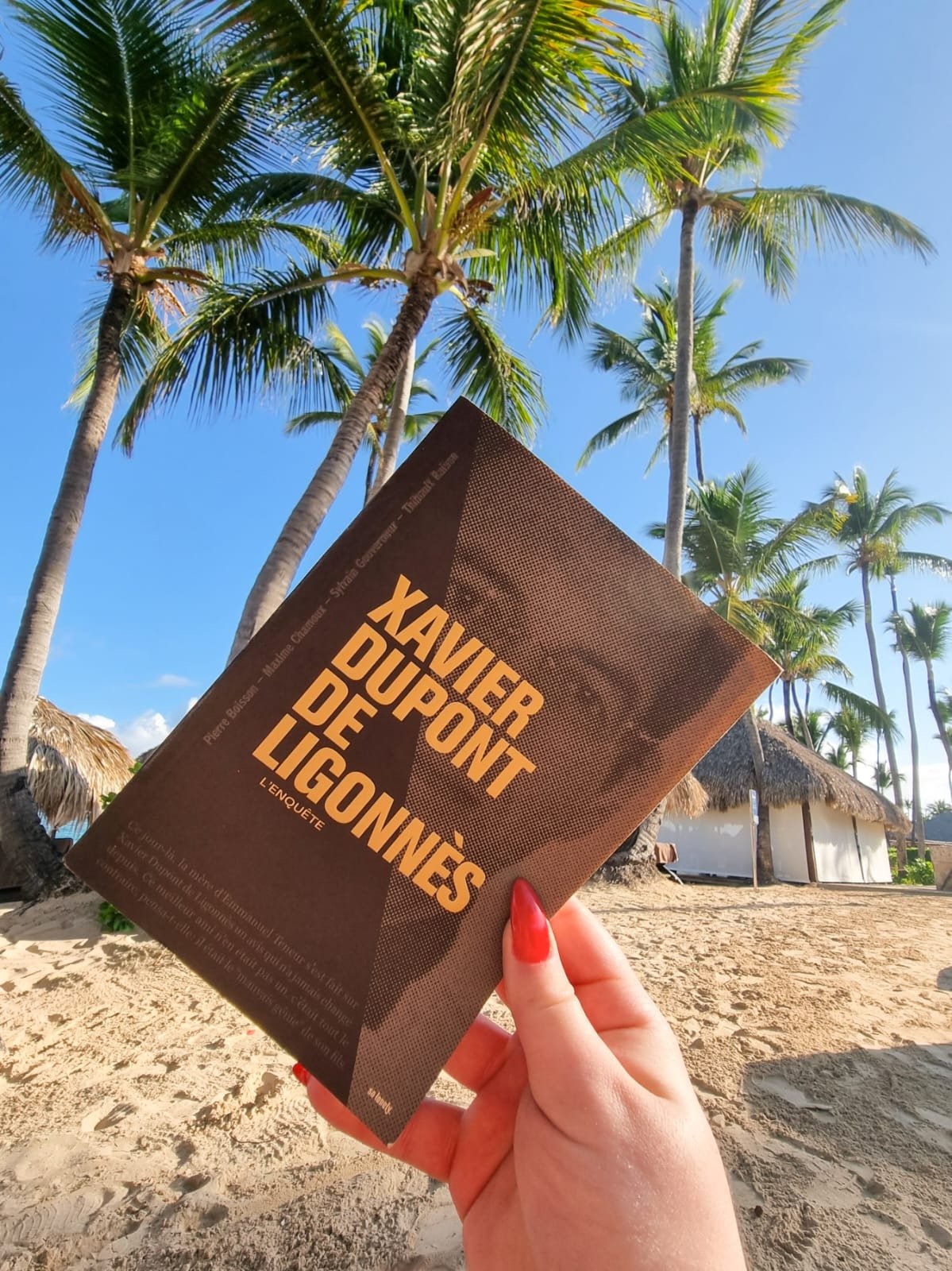 livre enquete sur xavier dupont de lignonnes à punta cana